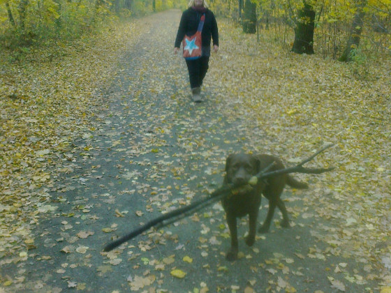 sooo ein schönes Wetter heute (Jungfernheide)